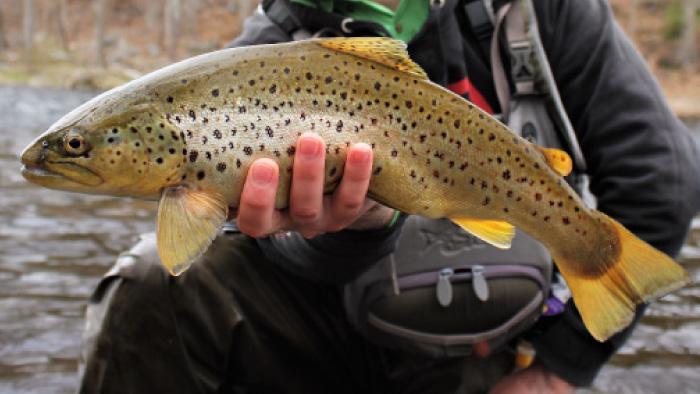 Memories of Fishing Over Generations