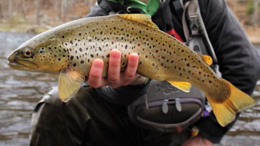 Memories of Fishing Over Generations