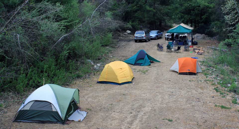 3 Reasons Insect Repellents Are a Camping Essential