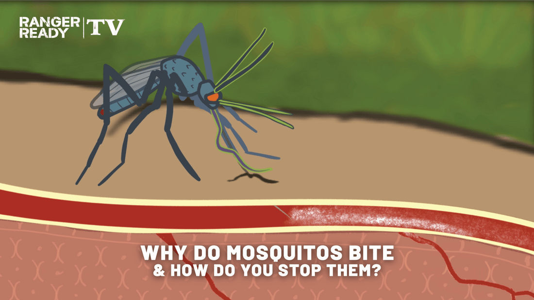 Why Do Female Mosquitos Bite and How Do You Stop Them? How Picaridin Mosquito Repellent Works.
