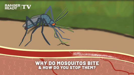 Why Do Female Mosquitos Bite and How Do You Stop Them? How Picaridin Mosquito Repellent Works.