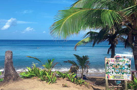 The Best Winter Getaways for When the Travel Bug Hits