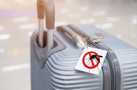 How To Avoid Mosquito Bites and Illness When Traveling
