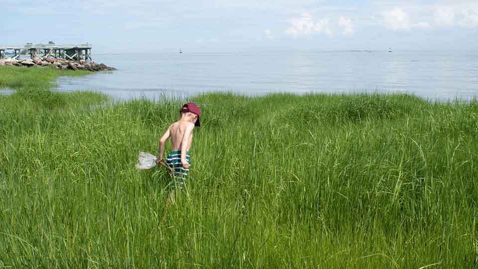 Keep kids age-1 and over safe from ticks and mosquitos with Ranger Ready Picaridin 20% Repellent
