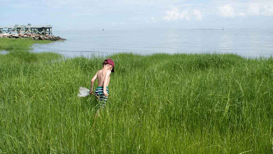 Keep kids age-1 and over safe from ticks and mosquitos with Ranger Ready Picaridin 20% Repellent