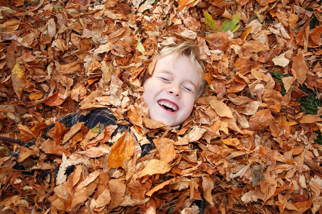 preparing for winter kid playing in leaves