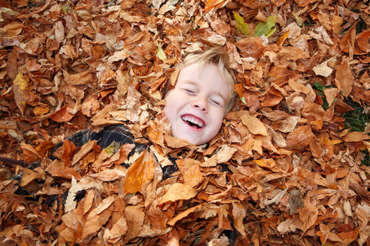 preparing for winter kid playing in leaves