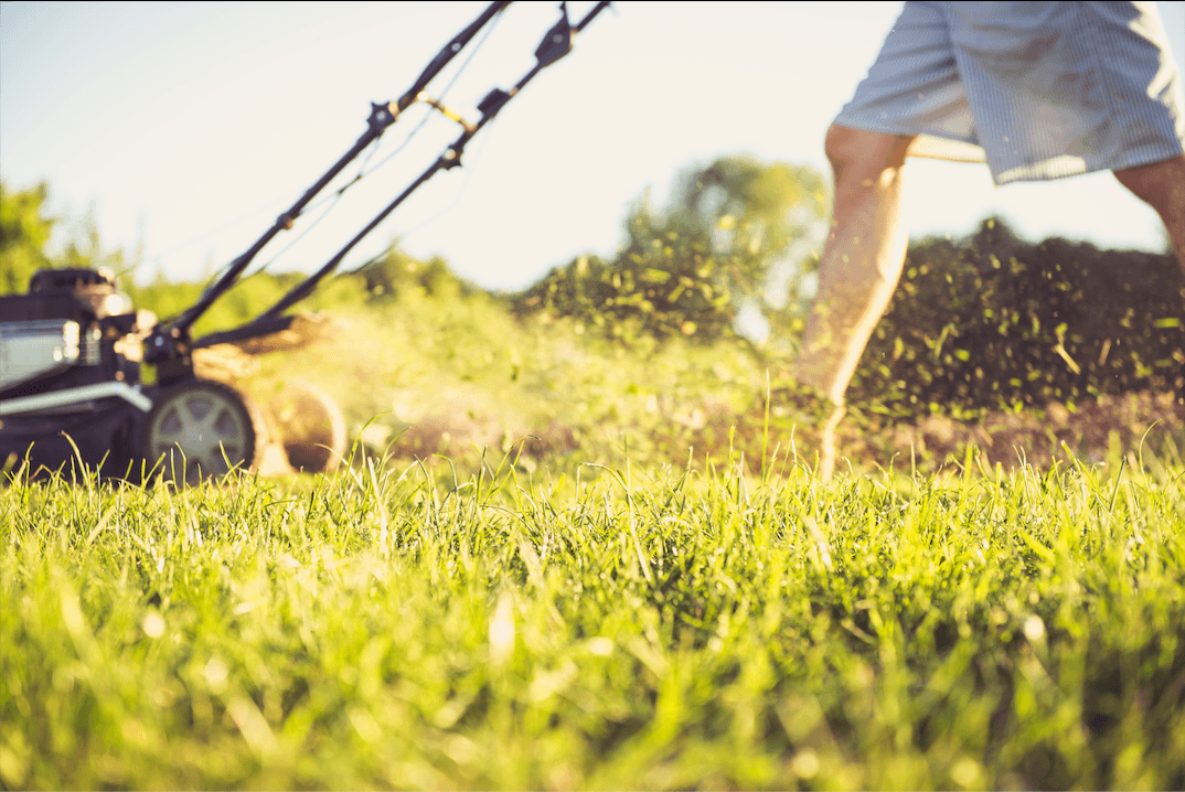 prevent bug bites in your backyard while mowing the lawn